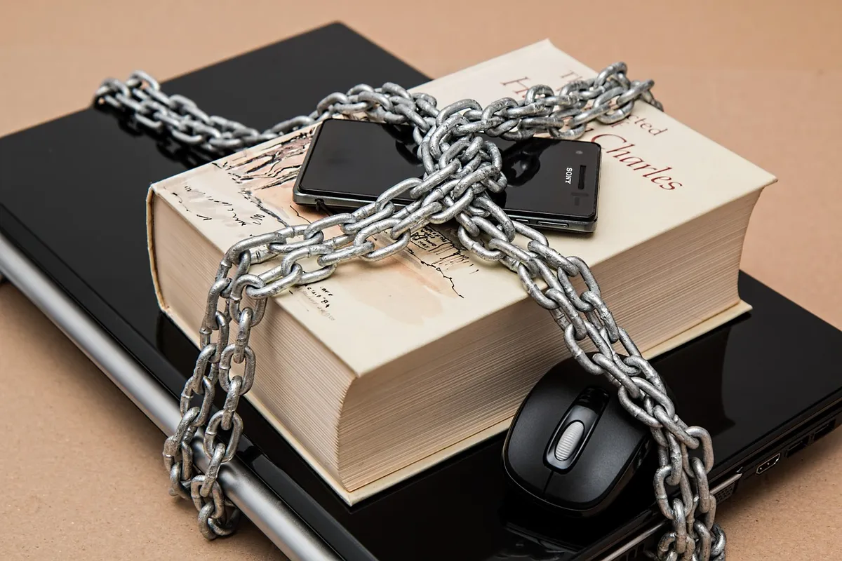 censorship, limitations, freedom of expression, restricted, suppression, restriction, limiting, limit, security, rights, secrets, protection, opposition, academ