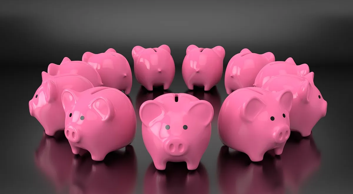piggy, bank, money, save, finance, financial, loan, profit, dollar, pig, currency, investment, wealth, investing, rich, income, economy, piggybank, safe, fund,